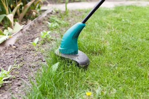 Top Gas Powered Lawn Edgers for Effortless Yard Maintenance
