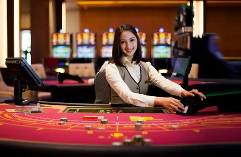 Explore the Best Options in Top Casinos Not on GamStop